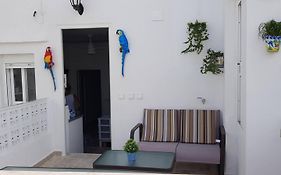 Cadizz - El Faro del Manteca - Terraza privada barrio de la Viña - La Caleta